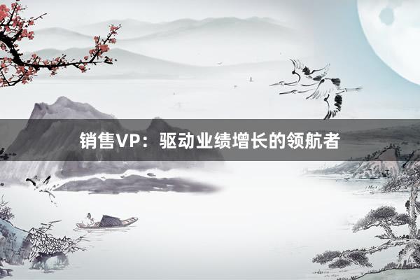 销售VP：驱动业绩增长的领航者